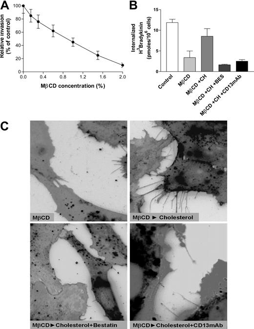 Figure 5. Cholesterol depletion suppresses bradykinin-induced filopodia formation. (A) HUVEC invasion in the presence of increasing concentrations of the cholesterol depleting agent M-β-CD (0.15%-2%, 0.5 hours). (B) Effects on internalization of 3H-bradykinin in HUVECs depleted of cholesterol with M-β-CD (MβCD; 2%, 0.5 hours) or depleted with M-β-CD then replenished with cholesterol (CH; 20 μg/mL, 3 hours) in the presence of the CD13 antagonists bestatin (100 μg/mL) or MY7 antibody (CD13 mAb; 1:100 dilution). (C) Effects on bradykinin-induced filopodia formation in HUVECs depleted of cholesterol with M-β-CD or depleted with M-β-CD and replenished with cholesterol in the presence of bestatin (100 μg/mL) or MY7 antibody (CD13 mAb; 1:100 dilution) Data are shown as means (± SD, n = 3).