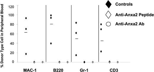 Figure 6. Reduced chimerism occurs in BMT when Anxa2 is blocked during transplantation. Competitive long-term bone marrow transplantations (CLT-BMTs) were used to determine the effect of Anxa2 blockade on HSC engraftment. HSCs isolated on the basis of the SLAM family of receptors (CD150 and CD48) derived from Ly-5.1 (CD45.1) mice using a maximum of 36 HSCs were transplanted into Ly-5.2 (CD45.2) congenic C57BL6 mice along with a mixture of a radioprotective dose of Ly-5.2 cells (2 × 105 cells). Antibody to Anxa2, or a synthetic peptide corresponding to the N-terminal Anxa2 peptide at 10 μg/kg (0.2 μg/animal), or IgG and scrambled peptide controls were used to block Anxa2 activity. Sixteen weeks after transplantation the percentages of marrow cells bearing the Ly-5.2 and Ly-5.1 phenotypes were determined in peripheral blood analyzed by flow cytometry. The data demonstrate that targeting Anxa2 prevents HSC engraftment. Data are representative of 2 independent investigations where *P < .05 versus the control.