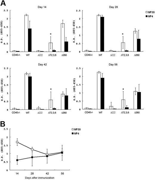 Figure 6. Humoral immune responses in chimeric CD40 transgenic mice. Mice were immunized with 100 μg NP30-KLH emulsified in CFA. Circulating antibodies were measured by an NP-specific, isotype-specific ELISA. (A) Both total NP-specific IgG1 (NP30) and high-affinity NP-specific IgG1 (NP4) responses from different chimeric CD40 transgenic mice were followed over time (days 14, 28, 42, and 56) (*P < .05 by analysis of variance versus values for CD40−/− at indicated time points). (B) The alterations of IgG1 responses (total versus high affinity) to NP antigen in Δ260 mice over time were shown. Data represent 2 independent experiments (mean ± SD).
