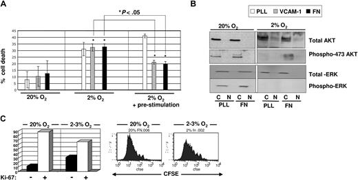 Figure 1. Assessment of cell death and proliferation of UCB-derived CD34+ cells cultured in the presence of SCF, FLT3L, TPO in 2% to 3% versus 20% O2. (A) Freshly isolated CD34+ progenitors were either plated directly (left and middle) or prestimulated with SCF + TPO for 2 to 4 hours (right) prior to plating on non–tissue culture–treated plates coated with PLL (white bar), or VCAM-1 (gray bar), or FN (black bar). Annexin V/PI staining was done on cultured cells after 48 hours of culture. A total of 4 to 5 separate cord blood samples was used for each experiment and statistics were done using Student t test. *P < .05. (B) Total protein levels and phosphorylated AKT and MAPK were assessed by immunoblotting from lysates for cells cultured in 20% (left) versus 2% to 3% (right) O2 on PLL- versus FN-coated plates for 48 hours. (C) CD34+ progenitors harvested after culture in 20% and 2% to 3% O2 on fibronectin were stained with Ki-67 antibody to assess the percentage of cells that was in G0 (left). FACS analysis of CFSE-labeled CD34+ cells after culture for 7 days on fibronectin in 20% and 2% to 3% O2 to measure cell division kinetics.