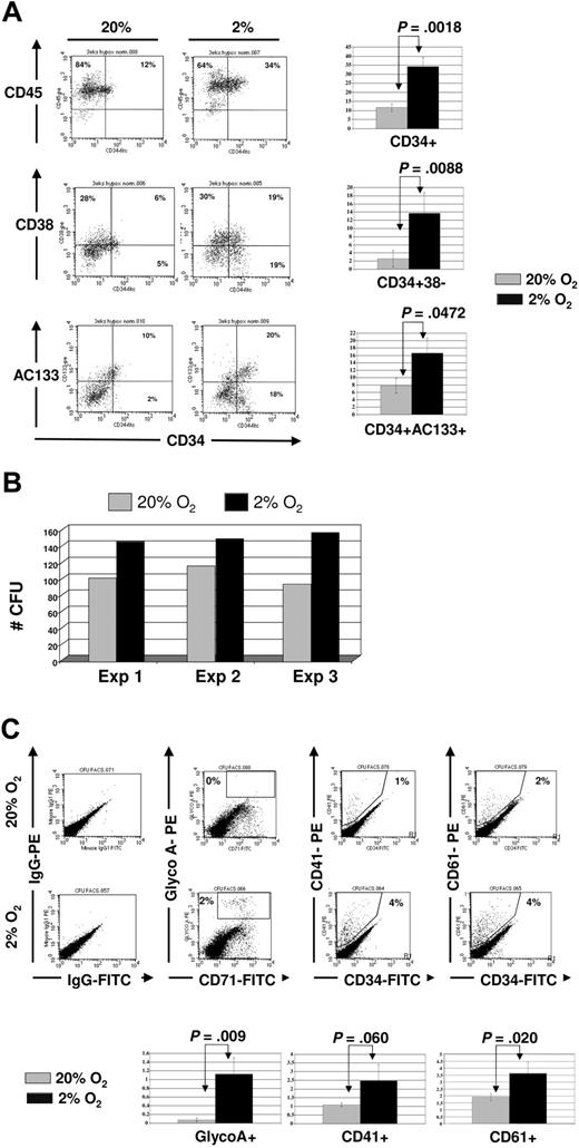 Figure 6. Surface phenotype of CD34+ progenitors after 3-week culture in 2% to 3% versus 20% O2 in osteoblastic-derived factors. CD34+ progenitors were plated on FN-coated plates in the presence of SCF, IL-6, and CXCL12 for 3 weeks, with half medium changes every 72 hours. (A) A representative phenotype of one experiment (above) and mean ± SEM (below) of 3 independent cord blood experiments comparing 20% (gray) versus 2% to 3% (black) O2. (B) Cells recovered from the 20% (gray) and 2% to 3% (black) O2 cultures were plated in methylcellulose medium with complete cytokines, and scored after 12 to 14 days. (C) CFU colonies were harvested and labeled with antibodies against CD34, GlyA, CD41, and CD61. FACS plot of representative example is shown (above), as well as mean ± SEM from 3 independent experiments (below).
