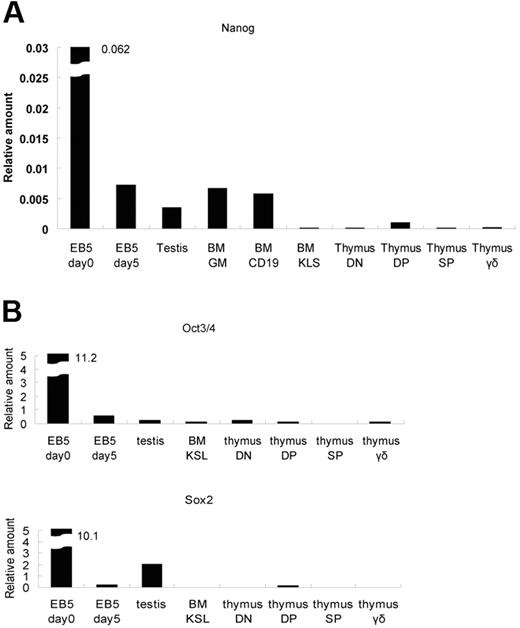 Figure 1. Expression of Nanog in hematopoiteic cells. (A) Expression of Nanog in the indicated cell types was measured by quantitative reverse transcription polymerase chain reaction (QRT-PCR). (B) Expression of Oct3/4 and Sox2 in the indicated cell types was measured by QRT-PCR. The values were normalized using the Gapdh, βactin, and HPRT control genes. EB5 day 0, undifferentiated EB5 ES cell line19; EB5 day 5, EB5 ES cells that were cultured in the absence of LIF for 5 days; testis, unfractionated testis cells; BM GM, bone marrow cells expressing either Gr1 or Mac1; BM CD19, bone marrow cells expressing CD19; BM KSL, lineage negative bone marrow cells that express c-Kit and Sca-1; thymus DN, CD4−CD8− thymocytes; thymus DP, CD4+CD8+ thymocytes; thymus SP, pooled CD4 SP and CD8 SP thymocytes; thymus γδ, γδT cells. This analysis was performed 3 times with similar results obtained in 2 other independent experiments.