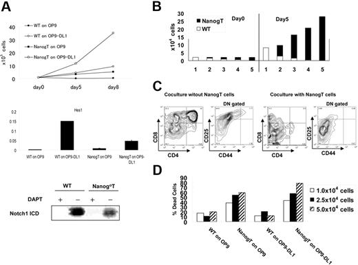 Figure 5. Nanog T cells suppress stromal cell–dependent T-cell development in vitro. (A) Notch signal–dependent growth of Nanog T cells in vitro. Upper panel shows the growth rate of Nanog T cells cocultured with OP9 or OP9-DL1. Middle panel shows the expression of Hes1 at day 5 of coculture. Lower panel shows the Western blotting for cleaved active Notch1. WT and Nanog T cells were cocultured on OP-DL1 with or without DAPT for 2 days. Cells (5 × 105) were used for Western blotting. (B) Growth advantage of Nanog T cells on OP9-DL1. Wild-type (wt) DN thymocytes and Nanog T cells were mixed at varying ratios, and a total of 2 × 104 cells were cultured on OP9-DL1. Five days later, all cells were harvested and GFP+ (filled column) and GFP− (open column) lymphocytes were counted. The ratio of wild-type DN cells to Nanog T cells are (1) 1:0, (2) 3:1, (3) 1:1, (4) 1:3, and (5) 0:1. (C) Nanog T cells inhibit the differentiation of wild-type thymocytes in vitro. FACS analysis of GFP− cells in cultures containing only wt cells or a 1:1 mixture of wt and Nanog thymocytes. In the absence of Nanog T cells, all stages of T-cell development from DN to SP cells were generated on OP9-DL1. However, differentiation of DP cells was markedly suppressed by coculture with Nanog T cells. DN gated means CD4−CD8− gated. (D) Stromal cell damage induced by Nanog T cells. WT or Nanog thymocytes (104, 2.5 × 104, or 5.0 × 104) were cultured on either OP9 or OP9-DL1 cells for 5 days. The proportion of live to dead stromal cells was determined by FACS of PI-stained cells. Stromal cells were distinguished from lymphocytes by their expression of DsRED.
