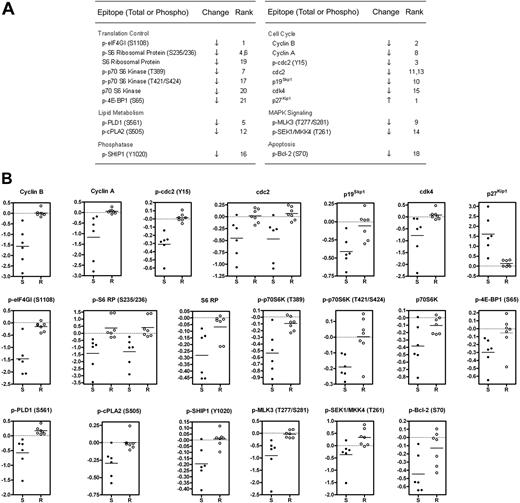 Figure 2. Identification of changes in phosphorylation and total protein levels that preferentially occur in GSI-sensitive cell lines. (A) Significant list of phospho-epitopes and proteins identified by significance analysis of microarrays (SAM) along with their direction of change and (d)-score rank. See “Materials and methods” for details. When 2 ranks are shown for a particular epitope, 2 distinct antibodies with the same specificity were used. (B) Presentation of fold change measurements as scatter plots for SAM-identified analytes listed in (A). Each dot represents an individual cell line. S denotes sensitive cell lines. R denotes resistant lines. All fold-change data points are logged in base 2 and median-centered for their corresponding cell line. Horizontal line indicates the mean fold change of the group. For cdc2 and p-S6 RP, 2 distinct antibodies were used.