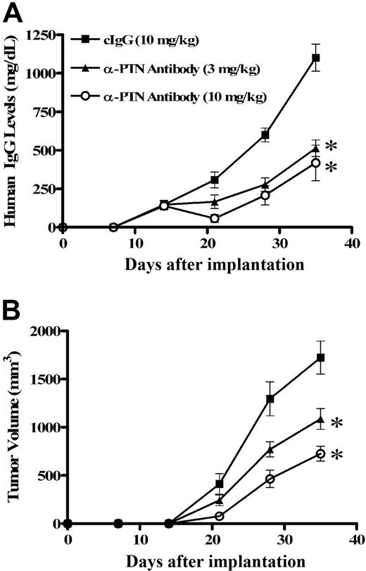 Figure 8. Anti-PTN antibody inhibits MM proliferation in the SCID-hu myeloma model, LAGλ-1. The human myeloma tumor LAGλ-1 was implanted intramuscularly into SCID mice and hIgG production was measured by ELISA. When hIgG was detected, anti-PTN antibody (3 or 10 mg/kg) or control IgG (cIgG, 10 mg/kg) was administered intraperitoneally twice weekly. (A) Anti-PTN treatment markedly reduced hIgG production and the volume of the myeloma tumor (B) in vivo. *P < .005, **P < .05.