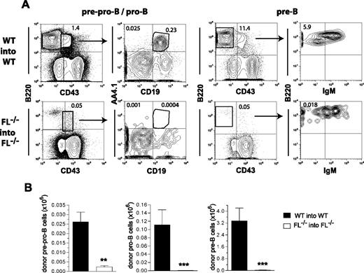 Figure 2. Role of FLT3 ligand in regeneration of B-cell progenitors after BM transplantation. Lethally irradiated adult WT mice were transplanted with 2 × 105 unfractionated BM cells from 9- to 10-week-old WT mice, whereas FL−/− recipient mice were transplanted with 2 × 105 unfractionated BM cells from FL−/− mice. In all experiments, donor- and recipient-derived BM cells could be separated based on expression of different CD45 isoforms. The frequency and absolute numbers of donor-derived B-cell progenitors in the BM of transplanted mice were determined 16 weeks after transplantation. (A) FACS profiles from representative mice showing donor-derived (gated on CD45.1 vs CD45.2) pre-pro-B (B220+CD43+AA4.1+CD19−), pro-B (B220+CD43+AA4.1+CD19+), and pre-B (B220+CD43−IgM−) cells. Numbers indicate percentage of total donor-derived cells within the indicated gates or quadrants. (B) Bar graphs show mean (SEM) numbers of donor-derived pre-pro-B, pro-B, and pre-B cells (per 2 tibiae and 2 femora) from 7 recipient mice of each genotype from 1 of 2 representative experiments. **P < .01, ***P < .001, compared with WT mice.