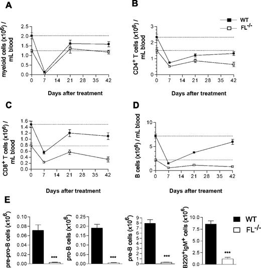 Figure 3. Impaired B-cell recovery after chemotherapy-induced myeloablation of FL−/− mice. The 9- to 15-week-old WT and FL−/− mice were treated with a single dose of 5-FU (150 mg/kg mouse weight). PB cellularity and lineage composition were determined at different time points post-treatment. At 7 days before treatment, PB was analyzed to establish the baseline levels of all blood cell lineages (depicted as day 0 and indicated by a dotted line). Data are expressed as mean (SEM) number of Mac-1+ myeloid cells (A), CD4+ T cells (B), CD8+ T cells (C), and B220+IgM+ B cells (D) per mL blood. (E) At day 68-83 of treatment, BM cells were harvested and counted from 5-FU–treated mice and B-cell progenitor subsets analyzed (“Materials and methods”). Data are expressed as mean (SEM) number of each progenitor subset (from 2 tibiae and 2 femora) from 11-14 treated mice per genotype from 2 experiments. ***P < .001 compared with WT mice.