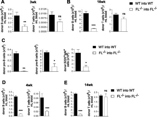 Figure 4. B-cell reconstitution in FL−/− mice after transplantation of fetal liver cells or BM cells from 2 week old mice. Lethally irradiated adult WT and FL−/− mice were transplanted with 2 × 105 unfractionated day 14.5 fetal liver cells (A-C) or 5 × 105 unfractionated 2-week-old BM cells (D,E), from WT and FL−/− mice, respectively. Donor- and recipient-derived blood cells could be separated based on expression of different CD45 isoforms (Materials and methods). (A,B) Donor-derived PB B-cell and T-cell reconstitution 3 and 16 weeks after fetal liver cell transplantation. Mean (SEM) values from 9 recipient mice of each genotype. (C) At 17 weeks post-transplantation, recipient mice were killed, and BM cells were counted and analyzed for donor-derived B-cell progenitors. Mean (SEM) values for total number of each progenitor subset (per 2 tibiae and 2 femora) of 6 mice per genotype. (D,E) Donor-derived PB B-cell and T-cell reconstitution at 4 and 14 weeks after transplantation of BM from 2-week-old mice. Mean (SEM) values from 7 recipients of each genotype. *P < .05, **P < .01, ***P < .001, ns indicates not significant compared with WT mice.
