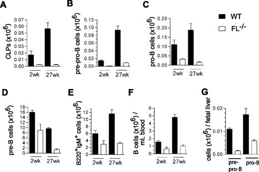 Figure 5. FLT3 ligand is essential for sustaining the peripheral B-cell compartment in adult mice. Mean (SEM) values (from 3-8 mice of each genotype and age) of CLPs (A; Lin−SCA-1loKITloIL-7Rα+), pre-pro-B (B; B220+CD43+AA4.1+CD19−), pro-B (C; B220+CD43+AA4.1+CD19+), pre-B (D; B220+CD43−IgM−), and mature/immature B cells (E: B220+IgM+) in BM, and of B cells (F; B220+IgM+) in PB in 2-week-old and 27-week-old WT and FL−/− mice. (G) Mean (SEM) values (from 5 fetuses per genotype) of pre-pro-B (B220+CD43+AA4.1+CD19−) and pro-B (B220+CD43+AA4.1+CD19+) cells in day 14.5 fetal liver from WT and FL−/− mice.