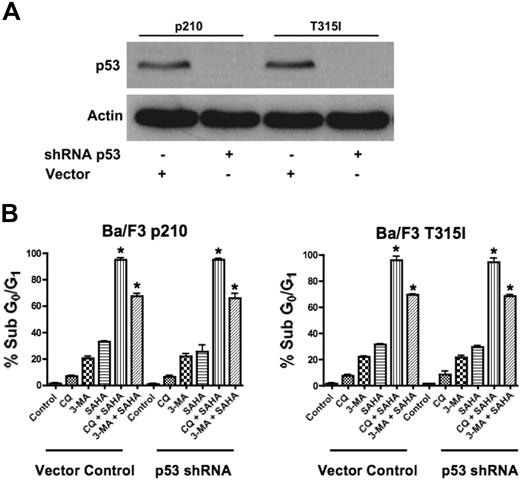 Figure 3. Functional p53 is not required for chloroquine or 3-methyladenine to synergize with SAHA. (A) shRNA-mediated knockdown of p53 in Ba/F3 p210 and Ba/F3 T315I cells. Actin was used as a loading control. (B) Quantification of drug-induced apoptosis. Vector control and p53 shRNA-expressing p210 and T315I Ba/F3 cells were treated with 25 μM CQ, 2 mM 3-MA, 1 μM SAHA, or the indicated combinations for 48 hours. Percentages of apoptotic cells were quantified by PI/FACS. Bars represent the mean of 3 independent experiments. Error bars indicate the SEM. *P < .05.
