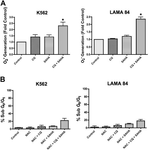 Figure 5. Chloroquine augments SAHA-induced superoxide generation, which mediates cell death. (A) Quantification of cellular superoxide generation. K562 and LAMA 84 CML cells were treated with 25 μM CQ, 2 μM SAHA, or the combination for 12 hours. Superoxide production was determined by hydroethidine staining in conjunction with flow cytometry as described in Quantitation of intracellular superoxide generation in P‘Patients, materials, and methods.” n = 3; error bars represent the SEM. *P < .05. (B) Effects of NAC on drug-induced cell death. K562 and LAMA 84 cells were pretreated with 10 mM NAC for 3 hours. Following pretreatment with NAC, cells were exposed to 25 μM CQ, 2 μM SAHA, or the combination for 48 hours. Drug-induced apoptosis was quantified by PI/FACS. n = 3; error bars represent the SEM.
