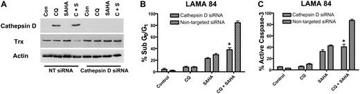 Figure 7. Knockdown of cathepsin D diminishes the potency of the chloroquine-SAHA combination and restores Trx expression. (A) siRNA knockdown of cathepsin D. Cathepsin-D–targeted or nontargeted siCONTROL siRNA were transfected into LAMA 84 CML cells using the Nucleofector II. Transfected cells were treated with 25 μM CQ, 2 μM SAHA, or the combination for 24 hours. Immunoblotting was used to evaluate the efficiency of cathepsin D knockdown. Actin served as a loading control. (B-C) Quantification of drug-induced apoptosis. LAMA 84 CML cells transfected with cathepsin D–targeted or siCONTROL siRNA were treated with 25 μM CQ, 2 μM SAHA, or the combination for 24 hours. Apoptosis was quantified by PI/FACS (B) and active caspase-3 staining (C). n = 3, error bars represent the SEM. *P < .05.