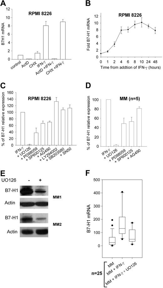 Figure 2. B7-H1 mRNA expression and signal transduction analysis in MM plasma cells. (A) B7-H1 mRNA levels in RPMI 8226 MM cells measured by real-tie polymerase chain reaction after exposure to 500 IU/mL IFN-γ for 6 hours with or without 10 μg/mL cycloheximide or 10 μg/mL actinomycin D (ActD) for 90 minutes. (B) Time-course analysis of B7-H1 mRNA levels after addition of 500 IU/mL IFN-γ to RPMI 8226 MM cells. (C) Flow cytometric analysis of B7-H1 expression in control RPMI 8226 MM cells (set at 100%) and after 24-hour incubation with IFN-γ with or without 1 hour pre-treatment with signal transduction inhibitors, ie, 20 μM UO126 (MEK1/2), 25 μM PD98059 (MEK1), 25 μM SP600125 (JNK), 25 μM AG490 (JAK2), 25 μM LY294002 (PI3K), 3 μM SB203850 (p38MAPK), and 25 μM SN50 (NFκB). (D) Same as (C) but with 5 MM CD138-selected cell samples. (E) Western blot analysis of B7-H1 levels with N20 polyclonal anti-B7-H1 antibody in 2 MM patient CD138-selected plasma cell samples exposed to 500 IU/mL IFN-γ with or without 1-hour preincubation with 20 μM UO126. (F) B7-H1 mRNA levels in 25 MM CD138-selected cell samples exposed for 24 hours to 500 IU IFN-γ with or without 1-hour pre-treatment with 20 μM UO126.