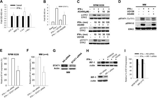 Figure 6. STAT1 and IRF-1 activity and B7-H1 expression. (A) TransAM assay of MAPK-regulated transcription factors. (B) TransAM assay of STAT1α transcription factor in nuclear extracts from RPMI 8226 or RPMI 8226/DN-hMyD88 cells incubated for 30 minutes with 500 IU/mL IFN-γ and with or without 1-hour preincubation with 20 μM UO126. (C) JAK2 and STAT1 phosphorylation in RPMI 8226 cells exposed for 30 minutes to 500 IU/mL IFN-γ with or without 1-hour preincubation with 25 μM AG490 or 20 μM UO126. (D) Same as (C) but from a representative CD-138-selected MM sample. (E) Flow cytometric analysis of B7-H1 expression in RPMI 8226 cells transfected with control NS or STAT1 siRNAs. (F) Same as (E) but with 4 CD138-selected MM samples. (G) Western blot analysis of STAT1 expression in a representative CD138-selected MM sample after transfection with control NS or STAT1 siRNAs (H) Western blot analysis of IRF-1 expression after incubation for 24 hours with 500 IU/mL IFN-γ and pre-treated for 1 hour with 20 μM UO126 or 25 μM PD98059. (I) Flow cytometric analysis of B7-H1 expression by RPMI 8226 cells or 3 CD138-selected MM samples incubated for 24 hours with IFN-γ with control NS or IRF-1 siRNA.