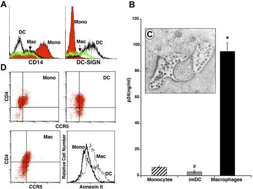 Figure 1. Differential HIV infection of monocytes, DCs, and macrophages. Peripheral-blood monocytes were processed immediately or cultured as described (“Materials and methods, Monocute isolation and differentiation to macrophages and dendritic cells”) to generate immature DCs and differentiated macrophages. (A) By flow-cytometry analysis using antibodies specific to CD14 and DC-SIGN, the 3 populations were phenotypically distinct. (B) Cultures of monocytes, DCs, and macrophages were incubated with HIV-1BaL for 90 minutes, washed, and incubated for 12 to 14 days. Media aliquots were removed every third day for p24 ELISA and replaced with fresh DMEM containing antibiotics and serum. Representative of 4 experiments (day 14 after infection; *P < .001, #P < .05) (SEM). (C) Transmission electron microscopy (EM) of macrophage infected with HIV-1 for 10 days, demonstrating intracellular budding and accumulation of virions (original magnification, × 20,000) using a Zeiss EM10 Microscope (LEO Electron Microscopy, Oberkochen, Germany). (D) Dual-color flow-cytometry analysis of CD4 and CCR5 expression and single-color annexin II staining on monocytes, macrophages, and DCs.