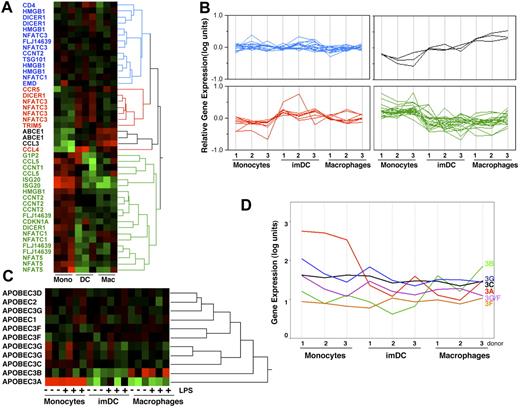 Figure 2. HIV susceptibility and resistance gene expression. (A) Monocytes, DCs, and macrophages were prepared and RNA was extracted and processed for microarray analysis using the Affymetrix system. Relative transformed expression intensity values were calculated within probe set (row) and hierarchically clustered (“Materials and methods, Oligonucleotide microarray data processing and analysis”), and the corresponding heat map and dendrogram are shown here (red indicates above-average expression; black, average expression; and green, below-average expression for genes associated with HIV resistance and susceptibility). Some genes were represented by multiple probe sets that often fall within the same cluster. Those that show distinct expression behavior may suggest the presence of splice variants (eg, Dicer 1 in clusters 2 and 4). (B) Using the clusters from panel A, parallel line plots by cluster-compare gene-expression profiles in monocytes, DCs, and macrophages from 3 donors. (C) Monocytes, DCs, and macrophages were unstimulated or treated with LPS for 1 hour and RNA was extracted and processed for microarray analysis using the Affymetrix system. Data were treated as in panel A. Data shown are for all 11 probe sets corresponding to the APOBEC cytidine deaminase gene superfamily, represented on the U133Plus2 chip. (D) Parallel line plot comparing APOBEC3 family gene-expression profiles in monocytes, DCs, and macrophages from 3 donors for the 6 probe sets having more than 50% present calls (206632_s_at - 3B, 204205_at - 3G, 209584_x_at - 3C, 210873_x_at - 3A, 214995_s_at - 3G/ 3F, 214994_at - 3F).