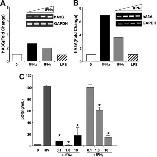 Figure 5. IFN coordinately enhances macrophage APOBEC3 expression and decreases susceptibility to HIV-1. (A-B) Macrophages (n = 3 donors) were cultured in the presence or absence of 10 ng/mL IFNα or IFNγ for 4 hours or 100 ng/mL LPS for 1 hour and the RNA was processed for microarray analysis. The bar graph shows the fold change for hA3G (A) and hA3A (B) across treatments. (Insets) IFNα dose-response (0, 0.1, 1, 10 ng/mL; 4 hours) induction of hA3G (A) and hA3A (B) by RT-PCR. (C) Macrophages were infected or not with HIV-1BaL for 90 minutes, washed, and IFNα or IFNγ added once after infection at the indicated concentrations (0.1–10 ng/mL). HIV-1 infection was monitored by p24 levels in the supernatants (day 14 shown; *P < .005) (mean ± SEM).