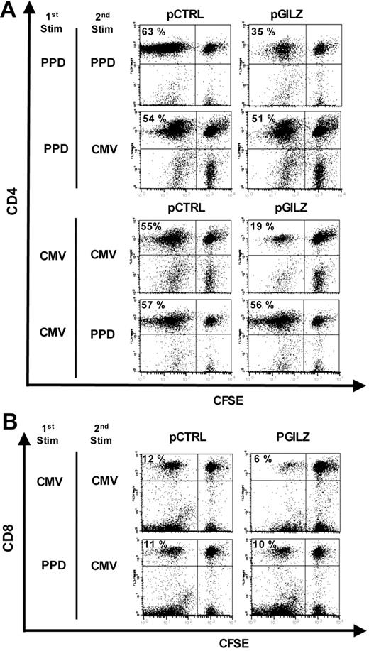 Figure 5. Antigen specificity of the Tregs induced by GILZ-transfected DCs. (A-B) Control and GILZ-transfected DCs were pulsed with either PPD or CMV (first stimulation) and used to stimulate CD4+ T lymphocytes, which were then added to CFSE-labeled PBMCs stimulated with either PPD or CMV (second stimulation). Proliferation of CFSE-labeled CD4+ responders (A) and CD8+ responders (B) was assessed by flow cytometry. Results are representative of 4 experiments.