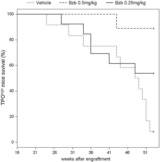 Figure 5. Bortezomib dramatically improves TPOhigh mice survival. Kaplan-Meier plots of untreated (vehicle) or treated (bortezomib 0.5 mg/kg and 0.25 mg/kg) TPOhigh mice. Bortezomib (0.5 mg/kg) significantly improves survival (P ≤ .001). Pooled data from 9 to 13 animals per experimental group studied from 16 (after 12 weeks of treatment) to 52 weeks after engraftment. Bzb indicates bortezomib.