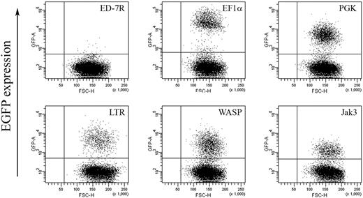 Figure 5. EGFP expression in ED-7R cells following lentiviral vector transduction. ED-7R cells were transduced at an MOI of 10 by vectors encoding EGFP under the transcriptional control of the indicated promoters and analyzed by FACS 7 days later. EF1α indicates human elongation factor-1-alpha promoter; PGK, human phosphoglycerate kinase promoter; LTR, MoMLV LTR promoter/enhancer; WASP, Wiskott-Aldrich syndrome protein promoter; Jak3, Janus kinase 3 promoter.
