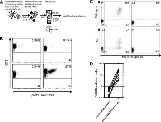 Figure 3. Use of CD137 expression for enrichment of antigen-specific T cells. (A) Experimental outline: Naive CD45RO−CD8+ T cells were stimulated with peptide-pulsed DCs and cultured for 1 week with IL-7 and IL-15 added on day 4. On day 8, the cells were restimulated with irradiated, autologous, peptide-pulsed PBMCs. Twenty-four hours later, CD137+ cells were isolated with magnetic beads and cultured for an additional 8 days in medium containing IL-2, IL-7, and IL-15 to allow both expansion and re-expression of the TCR. The cells were then analyzed for specificity using pMHC multimers. (B) Enrichment of an HCV/NS3(1406-1415)-specific T-cell line by selection of CD137+ cells. Eight days after primary stimulation of naive T cells, an aliquot was stained with an NS3(1406-1415)/MHC multimer to determine the frequency of antigen-specific cells before restimulation and/or enrichment (i). These cells were then split and either cultured in IL-2–, IL-7–, and IL-15–containing medium without any restimulation (ii), restimulated and cultured but not enriched (iii), or restimulated and enriched for CD137+ cells 24 hours later and then cultured for an additional 8 days (iv), and then stained with anti-CD8 antibody and the pMHC multimer. (C) Parallel to the pMHC-multimer staining, an aliquot of the enriched T-cell population was also restimulated with peptide-pulsed T2 cells and cytokine production was assessed after 5 hours (left). T cells incubated with unloaded T2 cells served as control (right). (D) Nine different HCV/NS3-specific T-cell lines were generated and enriched 24 hours after the second stimulation as above, and the number of pMHC multimer+ T cells assessed 8 days later and compared with lines not enriched (2-tailed, paired t test: P = .002).