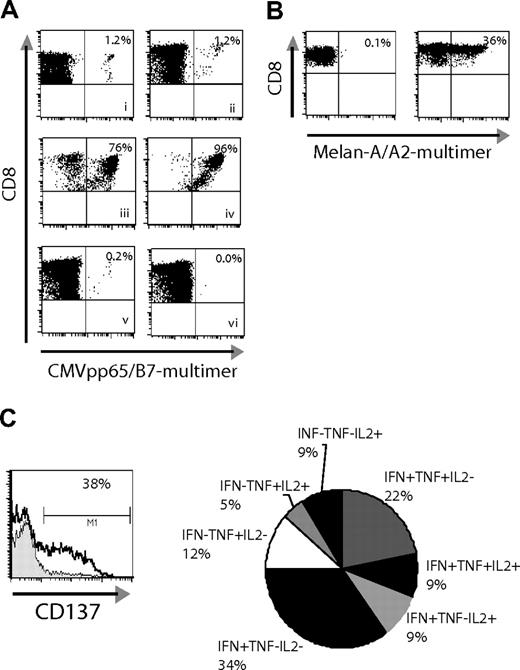 Figure 4. CD137 enrichment is effective with memory and naive T-cell populations. (A) PBMCs from a CMV+/HLA-B7+ donor were used to compare the CD137 enrichment method versus the IFNγ-secretion assay (all plots, except the ex vivo staining, show groups after an additional 8 days of culture): (i) CMVpp65(417-426)-pMHC multimer+ cells ex vivo; (ii) stimulation with peptide, no enrichment; (iii) stimulation with peptide and enrichment with IFNγ-secretion assay; (iv) stimulation with peptide and CD137 enrichment; (v) IFN− group (flowthrough/depleted); (vi) CD137− cells (flowthrough/depleted). (B) PBMCs from a healthy donor were stimulated with Melan-A(26-35L) peptide directly ex vivo for 24 hours and then either cultured for an additional week in medium containing IL-7 and IL-15 (left), or enriched for CD137+ cells and cultured for one week (right). The enriched sample was then restimulated a second time (day 8 of culture) and assessed for (C) up-regulation of CD137 at 24 hours after peptide-specific stimulation (left, black line) or stimulation with irrelevant control peptide (filled). In parallel, the pattern of cytokine responses was determined by intracellular cytokine staining (right, 5-hour stimulation period, % responsive CD8+ cells noted).