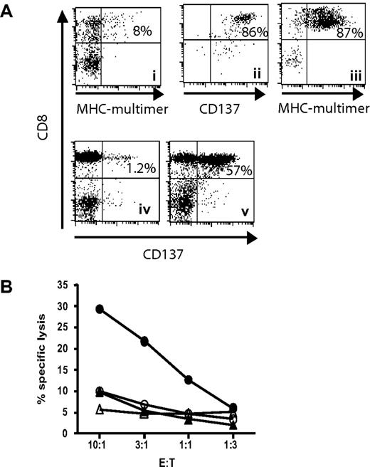 Figure 5. CD137 enrichment includes tumor-lytic T cells. (A) A Melan-A–specific T-cell line was generated by 2 rounds of stimulation (i). The cells were restimulated with peptide-pulsed autologous PBMCs, and 24 hours later CD137+ cells were positively selected using antibody/bead complexes (ii). Selected T cells were cultured for additional 8 days until pMHC multimer staining was performed (iii). This enriched line was then coincubated for 24 hours (ratio 1:1) with the HLA-A2+ Melan-A− melanoma cell line A325 (iv) or with the HLA-A2+ Melan-A+ melanoma cell line Mel526 (v), before staining for CD137. (B) The same enriched line (filled symbols) and the CD137− flowthrough (open symbols) were also tested in a 4-hour chromium release assay using the melanoma cell lines as targets (circles indicate targets; Melan-A+, Mel526 melanoma cells; and triangles, Melan A− A325 melanoma cells).