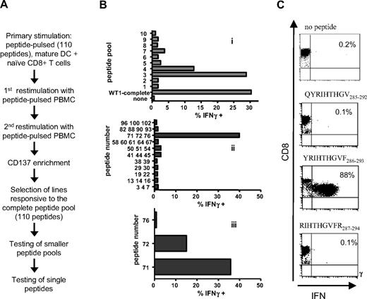Figure 6. Implementing CD137 enrichment for epitope discovery. (A) Experimental outline: After 3 rounds of stimulation with a pool of 110 overlapping 15-mers, CD137+ cells were enriched and further expanded. The immunogenic peptides were subsequently identified by step-wise testing of smaller peptide pools. (Bi) An enriched T-cell line was tested for IFNγ production in response to autologous EBV-transformed B lymphoblastoid cell lines (B-LCLs) pulsed with pools of peptides (10 or 11 peptides/pool). (ii) Peptides derived from pools 3, 4 (clearly positive), and 7 (potentially positive) were tested in smaller pools containing 2 to 5 peptides, in which the peptides were rearranged by selecting partially overlapping peptide sequences. (iii) Identification of peptides 71 and 72 as the stimulating peptides. (C) Fine mapping of the minimal essential amino acid sequence was performed using a T-cell line generated from a second HLA-Cw07+ donor after 3 stimulations with the immunogenic peptide. A panel of peptides was synthesized and tested for recognition of the minimal essential amino acid (see also Table 4) using peptide-pulsed, autologous B-LCLs as stimulators.