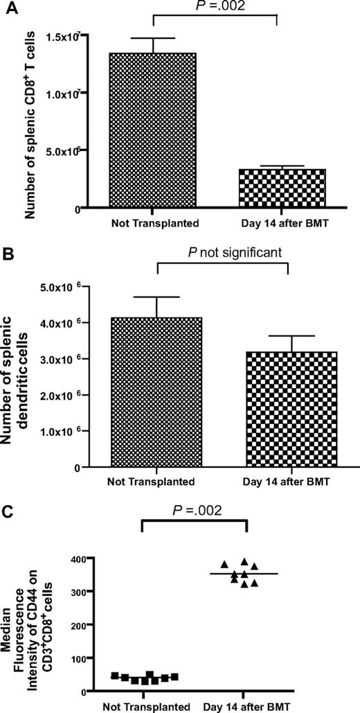 Figure 1. T-cell reconstitution is incomplete 14 days after BMT. (A) Thymectomized mice received a lethal dose of total body irradiation on day −1 and then were injected with 1 × 106 purified T cells and 5 × 106 BM cells on day 0. (A) On day 14 after BMT, the number of splenic CD3+CD8+ cells had recovered to 25% of the number detected in thymectomized mice that did not undergo irradiation and BMT (BMT, n = 13; no BMT, n = 8). (B) The number of splenic dendritic cells in mice 14 days after BMT was similar to the number of splenic dendritic cells in mice that had not undergone transplantation (BMT, n = 7; no BMT, n = 8). Dendritic cells were defined as cells expressing H-2 I-A and CD11c. (C) CD44 expression was increased on CD3+CD8+ cells after BMT (n = 8 mice per group).