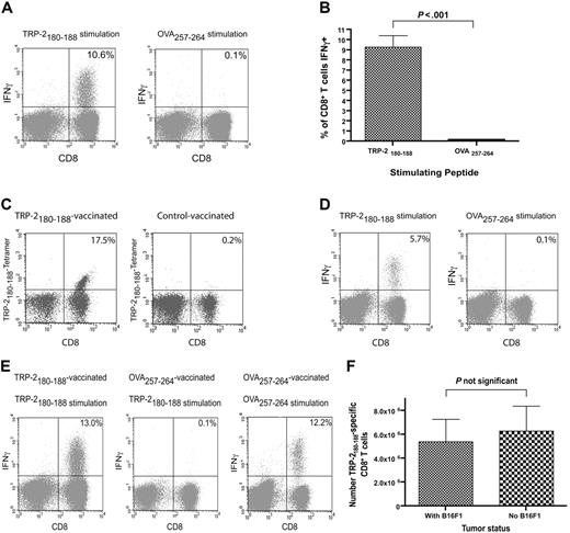 Figure 2. Large TRP-2180-188–specific CD8+ T-cell responses can be generated by vaccination after BMT. (A) Large TRP-2180-188–specific CD8+ T-cell responses, but minimal OVA257-264–specific responses, were detected in mice that received TRP-2180-188–containing vaccines. Mice underwent BMT as described in Figure 1. On day 14 after BMT, 100 000 B16F1 cells were injected. On days 14, 17, and 20 after BMT, priming vaccines containing TRP-2180-188 + CpG + IFA were administered. IL-2 was given on days 21 to 23. On day 28 after BMT, a boost vaccine that was identical to the priming vaccines was administered, and IL-2 was given on days 29 to 32. On day 33 after BMT, the mice were killed. Splenocytes were stimulated ex vivo for 6 hours with EL4 cells pulsed with either TRP-2180-188 or OVA257-264, and ICCS for IFNγ was performed. Plots are gated on CD3+ lymphocytes. The percentage of CD3+CD8+ cells that were positive for IFNγ is shown on each plot. Results from one representative mouse are shown. (B) In mice that received vaccines containing TRP-2180-188 + CpG and systemic IL-2, a mean of 9.3% of CD3+CD8+ splenocytes produced IFNγ in response to TRP-2180-188, but only 0.1% of CD3+CD8+ splenocytes produced IFNγ in response to the negative control peptide OVA257-264 (n = 10 mice per group). (C) TRP-2180-188–specific CD8+ T-cell responses were detected 33 days after BMT by TRP-2180-188-Kb tetramers in mice treated as described in (A). A representative example of 7 mice is shown. (D) TRP-2180-188–specific CD8+ T-cell responses were detected 25 days after the final vaccination in mice that were vaccinated and treated with IL-2 as described in (A). A representative example of 6 mice tested by ICCS assay is shown. (E) Mice underwent BMT, were vaccinated with peptide + CpG–containing vaccines, and received IL-2 as described in (A). One group was vaccinated with TRP-2180-188–containing vaccines and another group was vaccinated with OVA257-264–containing vaccines. Both groups had B16F1 injected on the same day as the first vaccination (day 14). On day 33, when all mice had palpable tumors, the mice were killed. Splenocytes were stimulated for 6 hours with either TRP-2180-188 or OVA257-264, and ICCS was performed. A representative example of CD8+ T-cell responses detected after ex vivo TRP-2180-188 stimulation of splenocytes from tumor-bearing TRP-2180-188–vaccinated mice is shown. Representative examples are also shown of CD8+ T-cell responses detected in splenocytes from tumor-bearing OVA257-264–vaccinated mice after ex vivo stimulation with either TRP-2180-188 or OVA257-264. Ten TRP-2180-188–vaccinated and eight OVA257-264–vaccinated mice were tested. Plots are gated on CD3+ lymphocytes. The percentage of CD3+CD8+ cells that produced IFNγ is shown on each plot. (F) Mice underwent BMT as described in Figure 1. The mice were then divided into 2 groups. One group was injected with 100 000 B16F1 cells on day 13 after BMT and the other group was not injected with tumor cells. Both groups then received TRP-2180-188 + CpG + IFA vaccines on days 13, 16, 19, and 27 after BMT. IL-2 was administered on days 20 to 22 and days 28 to 31 after BMT. On day 32 after BMT, TRP-2180-188–specific CD8+ T-cell responses were measured by ICCS assay as described in panel A. The presence of B16F1 did not affect the number of TRP-2180-188–specific CD8+ T cells generated by the vaccination regimen (n = 8 mice per group).