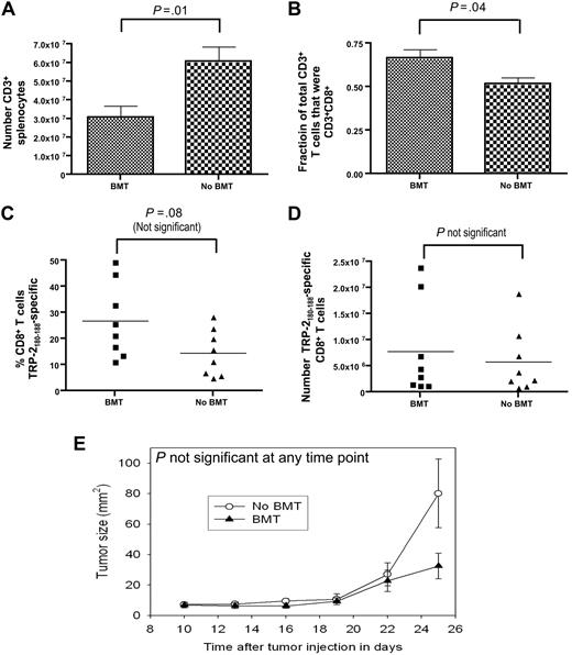 Figure 6. The absolute number of TRP-2180-188–specific CD8+T cells generated by CpG-containing vaccines plus IL-2 did not differ between mice that underwent BMT and mice that did not undergo BMT. On day 0, age-matched thymectomized mice underwent BMT or did not undergo BMT. Both groups of mice were injected with B16F1 on day 14. Starting on day 14, the vaccination regimen described in Figure 2A that consisted of TRP-2180-188 + CpG + IFA vaccines and systemic IL-2 was administered to both the BMT group and the non-BMT group. On day 33, the mice were killed, T cells were enumerated, and TRP-2180-188–specific CD8+ T-cell responses were measured by ICCS assay as described in Figure 2. (A) Mice that underwent BMT had a smaller number of splenic CD3+ T cells than mice that did not undergo BMT. (B) CD3+CD8+ T cells made up a larger fraction of total CD3+ T cells in mice that underwent BMT than in mice that did not undergo BMT. (C) The percentages of CD8+ T cells that were TRP-2180-188–specific in mice that underwent BMT and in mice that did not undergo BMT are shown. (D) The absolute number of TRP-2180-188–specific CD8+ T cells was equivalent in mice that underwent BMT and mice that did not undergo BMT. The data described in (A)-(D) were obtained from the same mice (n = 8 mice per group). (E) The B16F1 tumor growth rate was equivalent in mice that underwent BMT and mice that did not undergo BMT (n = 12 mice per group).