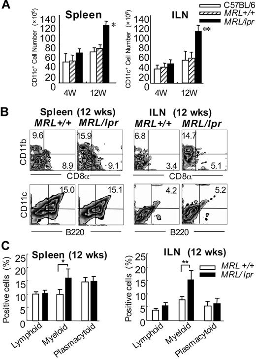 Figure 1. Myeloid dendritic cells in the spleen and inguinal lymph nodes from MRL/lpr mice. (A) The CD11c+ DC cell number of the spleen and ILNs is shown as means ± SD of 5 to 7 MRL/lpr and control mice at 4 and 12 weeks of age.(B) Mononuclear cells were isolated from the spleen and ILNs at 12 weeks of age, and the proportions were determined using flow cytometry. Shown are representative plots of CD8α+, CD11b+, B220+, and CD11c+ cells. Percentages in each region indicate the frequency of lymphoid (CD11c+CD11b−CD8α+), myeloid (CD11c+CD11b+CD8α−), and plasmacytoid (CD11c+B220+) DCs. Data are representative of 5 to 7 mice in each group. (C) Graph shows the mean frequency of lymphoid, myeloid, and plasmacytoid DCs. *P > .05; **P > .01 MRL/lpr versus MRL+/+ mice. Results are representative of 3 independent experiments.