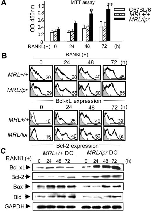 Figure 4. Antiapoptotic signaling through RANKL in MRL/lpr DCs. (A) BMDCs were stimulated with 100 ng/mL mouse recombinant RANKL from 0 to 72 hours, and the cell growth was analyzed by MTT assay. Data are means ± SD of triplicate samples and are representative of 4 independent experiments. *P > .05; **P > .01, MRL/lpr versus control mice. (B) BMDCs from MRL/lpr and control mice were stimulated with RANKL (100 ng/mL) from 0 to 72 hours, and the intracellular expressions of Bcl-xL and Bcl-2 were analyzed by flow cytometry. Numbers above horizontal lines indicate percent Bcl-xL+ or Bcl-2+ cells. Results are representative of 3 independent experiments. (C) BMDCs from MRL+/+ and MRL/lpr mice were treated with RANKL (100 ng/mL) from 0 to 72 hours. Bcl-xL, Bcl-2, Bax, and Bid proteins were detected by Western blot analysis. GAPDH was used as a control for loading. Data are representative of 3 independent experiments.
