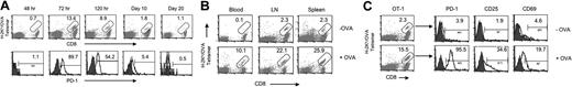 Figure 1. Phenotype and kinetics of PD-1 expression. (A) B6 mice that had received OT-1 T cells were given 0.5 mg OVA peptide intravenously. At the indicated time point, PBMCs were prepared, and surface expression of PD-1 on OT-1 cells was determined by triple staining with APC-labeled anti-CD8 mAb, PE-labeled H-2Kb/OVA tetramer (tetramer), and FITC-anti-PD-1 mAb. Numbers represent percentage of tetramer+ cells within the CD8+ subset (top row) or percentage of PD-1+ cells within the tetramer/CD8 double-positive subset from the same experiment (bottom). The data are from 1 of 3 representative experiments. (B) Blood, lymph nodes (LNs), or spleen cells at 60 hours with (+OVA; bottom) or without (−OVA; top row) OVA peptide injection were stained with PE-labeled tetramer and APC-labeled CD8 mAb. Numbers represent percentage of tetramer+ cells within the CD8 subset. The data are from 1 representative experiment of at least 3. (C) LN cells were collected from B6 mice at 48 hours with (+OVA; bottom row) or without (−OVA; top row) OVA peptide treatment. Cells were stained with tetramer/CD8 (OT-1 cells; left panels) together with FITC-anti-PD-1, anti-CD25, or anti-CD69 mAb, respectively. Numbers in the left panels represent percentage of tetramer+ cells within the CD8+ subset. Numbers in the right panels represent percentage of PD-1, CD25, or CD69+ cells within the tetramer+/CD8+ (OT-1) cells.