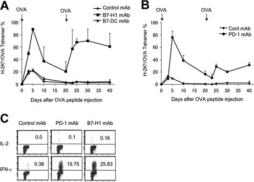 Figure 3. B7-H1 or PD-1 blockade by mAb prevents OT-1 T-cell anergy. (A-B) B6 mice were given OT-1 cells prior to intravenous administration of 0.5 mg OVA peptide. On the day of peptide administration and again 3 days later, mice were given 100 μg control hamster IgG (A-B), anti–B7-H1 (clone 10B5) (A), anti–B7-DC (clone YL-1) (A) or anti-PD-1 (clone G4) (B). Blood was taken from mice at the time points indicated, and the percentage of OT-1 cells present in each mouse was analyzed by flow cytometry analysis as described in the Figure 2 legend. The data shown are the means ± SD of 2 mice in each group and are representative of at least 3 independently performed experiments. (C) At 20 days following initial injection of OVA peptide, spleens were harvested and stimulated with OVA peptide (10 ng/mL) in 96–round-well plates. OT-1 cells were gated by anti-CD8 mAb and OVA tetramer, and OVA-specific IL-2 and IFN-γ production were determined 24 hours later, respectively, by mAb intracellular staining. Numbers represent percentage of OT-1 cells which are positive for indicated intracellular cytokines. The data are from 1 of 3 experiments. It compared with unstained control (data not shown). Horizontal bars represent gating of positive cells versus negative cells in flow cytometry analysis.
