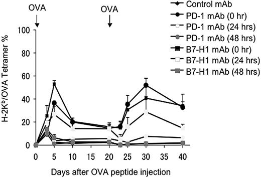 Figure 4. Interaction between B7-H1 and PD-1 in lymphoid organs is sufficient to induce OT-1 T-cell anergy. B6 mice were given OT-1 cells prior to intravenous administration of 0.5 mg OVA peptide. On 0, 24, or 48 hours after OVA peptide injection, mice were given 100 μg intravenously of control hamster IgG, B7-H1 mAb (clone 10B5), or PD-1 mAb (clone G4). Second doses were administered 3 days after the first dose. Blood was taken from mice at the time points indicated, and the percentage of OT-1 cells observed in each mouse was analyzed by flow cytometry as described previously. The data shown are the means ± SD of 3 mice in each group and are representative of at least 3 independently performed experiments.