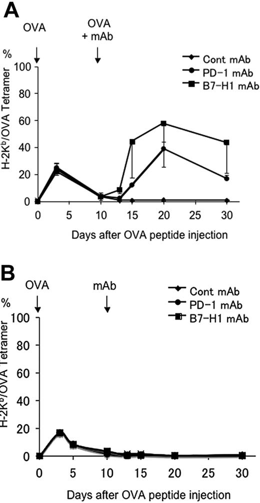 Figure 5. Blockade of B7-H1 or PD-1 reverses established T-cell anergy. B6 mice were given OT-1 cells prior to intravenous administration of 0.5 mg OVA peptide. On day 10 after OVA peptide injection, mice were given 100 μg intravenously of control hamster IgG, B7-H1 mAb (clone 10B5), or PD-1 mAb (clone G4) together with (A) or without (B) intravenous administration of 0.5 mg OVA peptide. Blood was taken from mice at the time points indicated, and the percentage of OT-1 cells observed in each mouse was analyzed by flow cytometry as described previously. The data shown are the means ± SD of 3 mice in each group and are representative of at least 3 independently performed experiments.