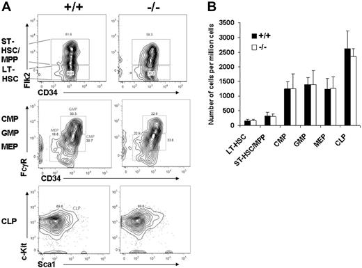 Figure 2. Wild-type and Gab2−/− BM have the same absolute number of primitive hematopoietic stem/progenitor cells. (A) BM cells were blocked with normal mouse serum; stained with lineage antibody cocktails, including Gr-1, Mac-1, B220, Ter119, CD4, and CD8; and combined with combinations of Sca-1, c-Kit, Flk2 (flt3), CD34, and additional markers as described in “Materials and methods.” Shown are representative profiles for lineage-negative BM cells analyzed for the indicated sets of markers defining short-term HSC/multipotent progenitor (ST-HSC/MPP) cells, long-term HSCs (LT-HSCs), granulocyte-macrophage progenitor (GMP) cells, megakaryocyte-erythroid progenitor (MEP) cells, and the common myeloid progenitor (CMP) and common lymphoid progenitor (CLP) cells. The values in the wild-type and Gab2−/− panels represent the percentage of the total nucleated cells staining with the associated markers. (B) A total of 6 independent wild-type and 6 independent Gab2−/− mice were used to analyze the populations described above. The values represent the number of cells per 106 viable adult BM cells obtained from 2 tibias and 2 femurs per mouse. The plotted values represent the average numbers of the 6 mice per group and the standard deviation. Error bars represent the mean plus or minus a standard deviation.