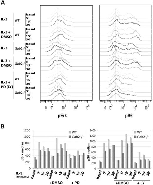 Figure 4. BM c-Kit+Linlow cells from Gab2−/− mice are deficient in phosphorylation of S6 and ERK. Whole BM from wild-type and Gab2−/− mice was serum and cytokine starved for 4 hours and stimulated with IL-3 (10 ng/mL) for 5, 15, or 30 minutes alone or in the presence of DMSO control (0.1%), 50 μM PD98059 (for pERK measurement), or 50 μM LY294002 (for pS6 measurement). Levels of phosphorylated ERK and S6 were measured using phosphospecific flow cytometry in the c-Kit+/Lin−/low subset. Flow cytometry profiles are shown in the top panels for basal (starved and unstimulated) or IL-3 stimulated cells. Values of the median intensity of fluorescence for each phosphoprotein measured are provided below each set of flow cytometry histograms. Light-gray bars are wild-type, and dark-gray bars are Gab2−/−. Shown is 1 representative experiment from 5 total experiments.