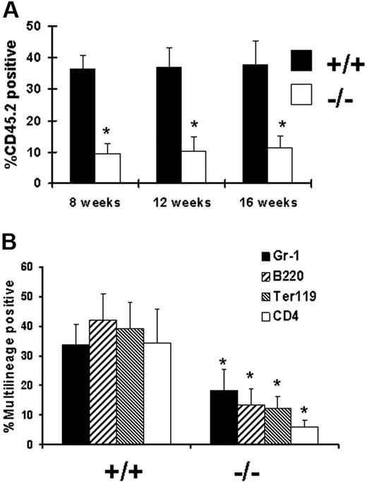 Figure 7. Secondary transplantation does not promote further declines in hematopoietic repopulating potential. To determine whether engraftment would decrease upon transplantation into secondary recipients, the chimeric mice that received BM cells 16 weeks earlier were killed, and the BM cells were collected and then injected into lethally irradiated CD45.1 secondary hosts. (A) The mice were bled 8 weeks, 12 weeks, and 16 weeks following secondary transplantation. Peripheral blood leukocytes were analyzed by flow cytometry for the expression of CD45.2. The results are represented as the average plus or minus a SD from the combination of 2 independent transplantation experiments with 10 recipient mice in each group. *P > .001 relative to wild-type BM. (B) Donor contribution to myeloid, lymphoid, and erythroid lineages in long-term reconstituted mice is shown. Average multilineage analysis at 16 weeks showed that the defects affected multiple hematopoietic lineages. *P > .001 relative to wild-type BM. Error bars represent the average plus or minus a standard deviation.