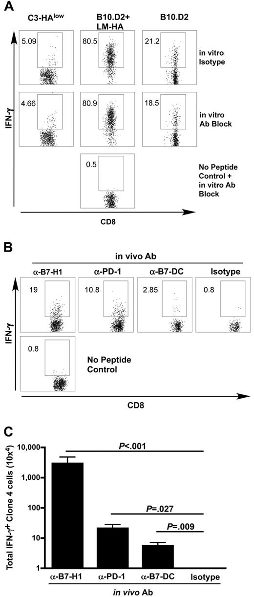 Figure 2. Blockade of PD-1 and its ligands at the time of antigen recognition renders self-antigen-specific T cells competent to produce effector cytokines. (A) Thy1.1-marked clone 4 cells were adoptively transferred into indicated hosts and harvested on day 4. Intracellular cytokine staining for IFN-γ was performed after 5-hour in vitro stimulation with the HA class I peptide in the presence of a blocking antibody cocktail (α-PD-1, α-B7-H1, and α-B7-DC, 30 μg/mL each, middle row) or isotype antibodies (top row). Gated on Thy1.1, 5 animals per group. (B,C) Clone 4 cells were adoptively transferred into C3-HAlow animals as above and PD-1, B7-H1 or B7-DC were blocked in vivo with 100 μg of indicated antibody administered at the time of adoptive transfer. Intracellular staining for IFN-γ was performed on day 4 after transfer. (B) Representative FACS plots, gated on CD8+ Thy1.1+ clone 4 lymphocytes. (C) Summary data of panel B, mean ± SEM n = 5, representative of 2 experiments.
