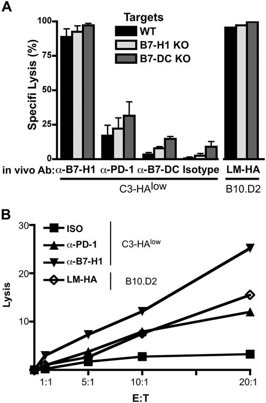 Figure 3. In vivo blockade of PD-1 and B7-H1 at the time of antigen encounter by self-antigen-specific CD8 T cells results in the development of functional CTL. (A) Clone 4 cells were adoptively transferred into C3-HAlow mice with the indicated blocking antibodies administered intraperitoneally on day 0. Specific lysis in vivo was assayed by transfer of CFSE- or PKH26-labeled, HA peptide-pulsed targets on day 6. Targets from WT, B7-H1 KO, and B7-DC KO animals were differentially labeled (see “Materials and methods”) and injected simultaneously. Percentage specific lysis calculated as described previously,26 n = 5. No significant differences in target lysis within the antibody treatment groups were detected by ANOVA. (B) In vitro CTL. clone 4 T cells were adoptively transferred as above, harvested on day 4 and sorted by FACS to < 95% purity. CTL were coincubated with HA peptide pulsed targets for at 37° for 4 hours, and percentage target lysis was calculated as described previously.27