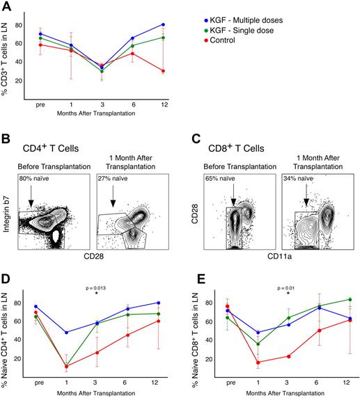 Figure 2. Reconstitution of T cells in lymph nodes after transplantation. (A) Frequencies of CD3+ T cells in lymph nodes before and after transplantation; animals given multiple doses of KGF are indicated with blue symbols, those given a single dose of KGF with green symbols, and control animals with red symbols. (B) and (C) Flow cytometry plots show T cell phenotyping in a representative animal before and 1 month after transplantation. (D) and (E) Frequencies of naive CD4+ and CD8+ T cells in lymph nodes obtained from the animals over time. Cells were gated firstly on small lymphocytes using scatter parameters, then on CD3+ T cells, and then subsets were analyzed within CD4+ or CD8+ populations using FlowJo software (TreeStar). Data are displayed are as median and interquartile range (IQR). For the 2 animals receiving multiple doses, only median is plotted as an IQR would be statistically unreliable. Significant P indicated for comparisons between all KGF-treated animals and controls.