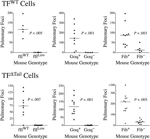 Figure 4. The metastatic potential of TF-expressing tumor cells is strongly dependent on circulating hemostatic system components. Mice with genetic deficits in prothrombin (fIILow), platelet function (Gαq−), or fibrinogen (Fib−) were intravenously injected along with appropriate littermate controls with either 4 × 105 TFWT or TFΔTail cells and pulmonary foci enumerated 21 days later. The data shown represent the total number of surface pulmonary foci for each mouse injected. The horizontal bars represent median values. All P values were generated using the Mann Whitney U test.