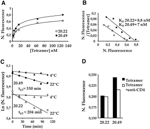 Figure 5. Differential binding of α-GalCer–loaded CD1d tetramers on CD4 + and DN human iNKT cell clones expressing identical TCR. (A) iNKT cell clones 20.22 (open symbols) and 20.49 (closed symbols) were incubated with increasing concentrations of α-GalCer–loaded CD1d tetramer. For each point, tetramer fluorescence is normalized to the level of surface expressed TCR (N. Fluorescence). (B) Scatchard transformation of the binding isotherm of α-GalCer–loaded CD1d tetramer to the NKT cell clones 20.22 (open symbols) and 20.49 (closed symbols). The ratio of normalized fluorescence to the tetramer concentration is plotted against the normalized fluorescence. (C) Decay plots of the natural logarithm of binding to the NKT cell clones 20.22 (open symbols) and 20.49 (closed symbols) of α-GalCer-loaded CD1d tetramers. Normalized fluorescence is plotted versus time after addition of anti-CD1d blocking mAb. Cells were incubated with α-GalCer–loaded CD1d tetramer and TCR mAb then brought to either + 4°C or + 22°C. Blocking anti-CD1d (30 μg/mL) was added and, at consecutive time points, an aliquot was analyzed by flow cytometry. Half-lives of tetramer stainings are indicated (t1/2). (D) α-GalCer–loaded CD1d tetramer binding to iNKT cell clones 20.22 and 20.49 in the absence (filled histograms) or presence of anti-CD4 mAbs (open histograms). One representative experiment (of 3) is shown.