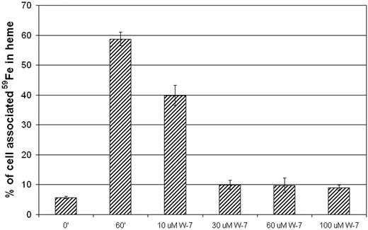 Figure 2. Endosomal motility is required for 59Fe availability. The endosomal compartment of reticulocytes was loaded with 59Fe2-Tf by treating the cells sequentially with bafilomycin (60 nM; 30 minutes at 37°C) and 59Fe2-Tf (1 μM; 30 minutes at 37°C). Where indicated, increasing concentrations of W-7 were included in the reincubation step (60 minutes at 37°C). The incorporation of 59Fe into heme is shown as the percentage of total cell-associated 59Fe. 0′, before reincubation; 60′, 60 minutes reincubation (in the absence of W-7). Error bars represent standard deviations (n = 3).