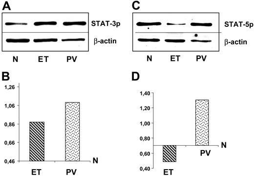 Figure 3. Western blot analysis of pSTAT-3 and pSTAT-5. Immunoblotting (upper panels) and densitometric analysis (lower panel) of pSTAT-3 (A) and pSTAT-5 (B) expression. Mononuclear cells were obtained from bone marrow of 5 healthy controls, 5 patients with PV, and 5 patients with ET. Immunoblots refer to a representative experiment. Values of densitometric analysis in PV and ET are normalized for results obtained in healthy controls (mean values of 5 experiments for each set of samples). SD are less than 10% and have been omitted.