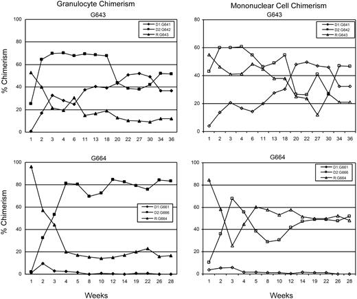 Figure 1. Percent donor chimerism for granulocytes and mononuclear cells for dog G643 showing stable long-term trichimeric engraftment and dog G664 showing initial trichimerism with subsequent rejection of one donor 4 weeks after TBI. Data points were determined by VNTR-PCR analysis.