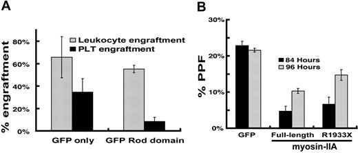 Figure 3. Interference with myosin-IIA function during MK maturation. (A) Bone marrow transplant evaluation of the role of myosin-IIA in platelet production by functional dominant interference. Control (GFP) and GFP-fused rod domain (GRD) groups represent results from 4 or 5 independently transplanted animals, and the differences in thrombopoietic efficiency are significant (P > .02) by the 2-tail Student t test. (B) PPF efficiency of cultured primary wild-type MKs expressing myosin-IIA constructs. Values are expressed as the fraction of all MKs (scored by cell size and morphology under phase-contrast microscopy) that extend proplatelets. Cultures were evaluated at 84 hours (black) and 96 hours (gray) after initiation of culture, and following enrichment for MKs over a BSA step-gradient.