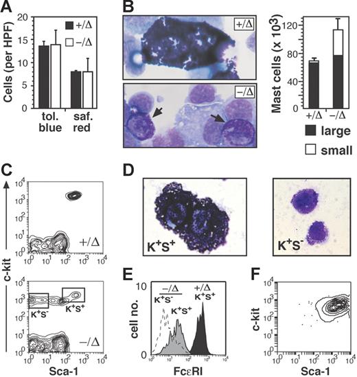 Figure 1. SCL−/Δ mice have increased mast-cell progenitors in the peritoneal cavity. (A) Numbers of toluidine blue+ and safranin red+ mast cells in connective tissue of the ears of SCL+/Δ and SCL−/Δ mice (n = 3 for each genotype). Results are the mean and standard error of the mean (SEM) of mast cells per 100× high-power field (HPF). (B) Wright-Giemsa stain of peritoneal fluid demonstrating the small, granular mast cells (→) seen only in the SCL−/Δ mice. A normal, large granular mast cell from an SCL+/Δ mouse is shown for comparison. The mean and SEM numbers of each type of mast cell were calculated by absolute peritoneal cell count × proportion of mast cells using flow cytometry. Data represent the mean and SD from 4 mice of each genotype. (C) Flow cytometric analysis of peritoneal cells from SCL+/Δ and SCL−/Δ mice stained for c-kit and Sca-1 expression. (D) Wright-Giemsa stain of sorted c-kit+Sca-1+ (K+S+) and c-kit+Sca-1− (K+S−) peritoneal cells from an SCL−/Δ mouse. (E) Expression of the high-affinity receptor for IgE (FcϵRI) on peritoneal mast- cell subsets from SCL+/Δ and SCL−/Δ mice. (F) Flow cytometric analysis of SCL−/Δ K+S− mast cells cultured for 3 weeks in media containing IL-3 and SCF.